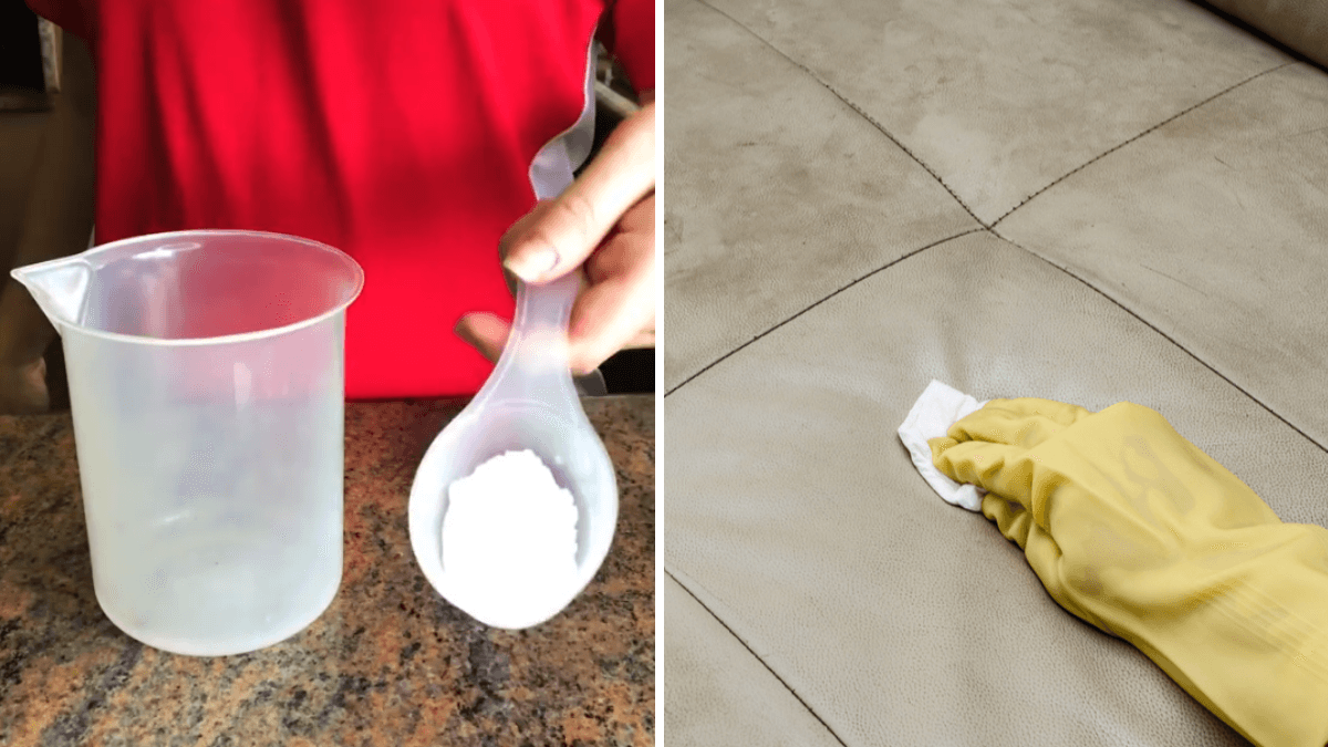 Limpeza caseira x higienização profissional