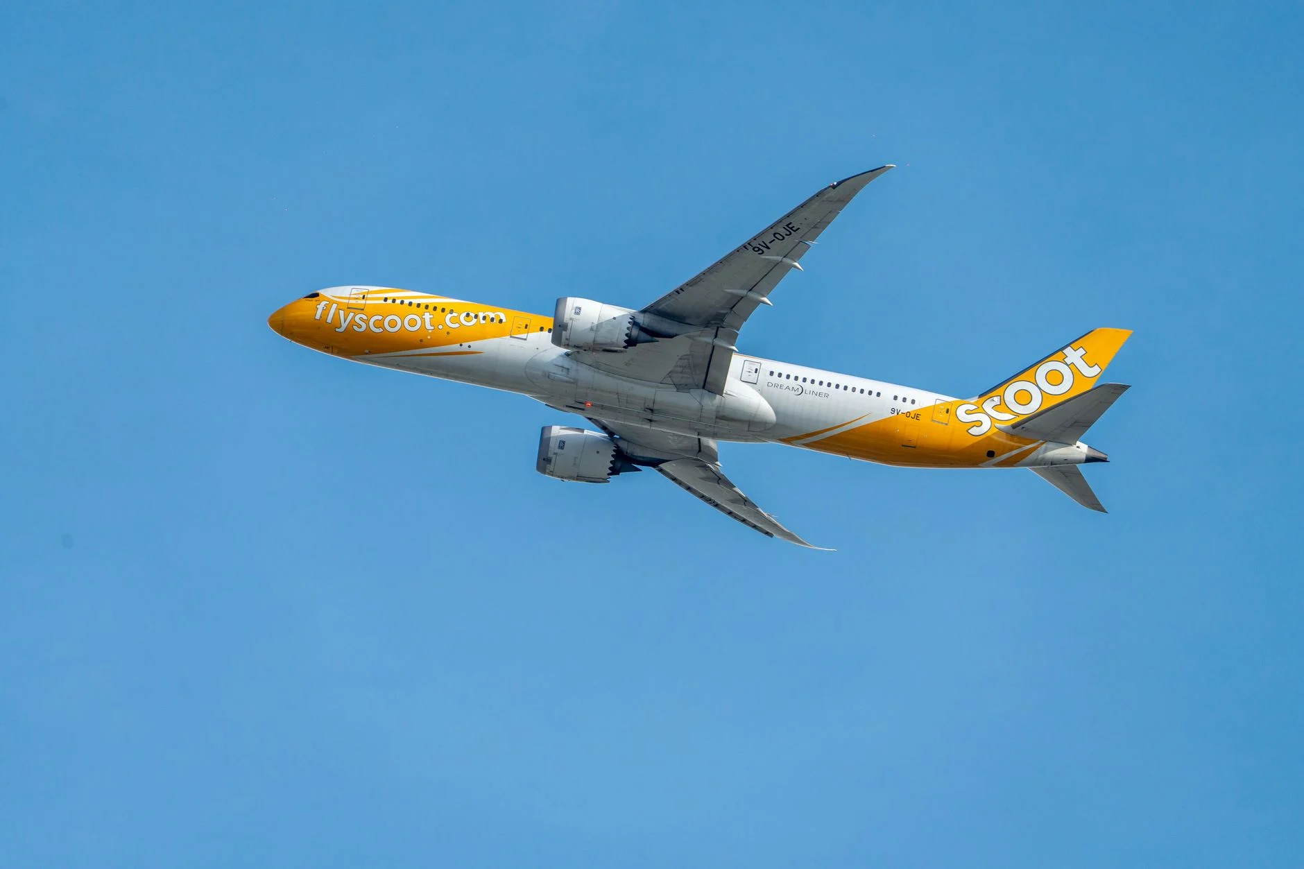 Scoot airline's Boeing 787 Dreamliner soaring through a clear blue sky. Captured in daytime, showcasing the aircraft's design and livery.