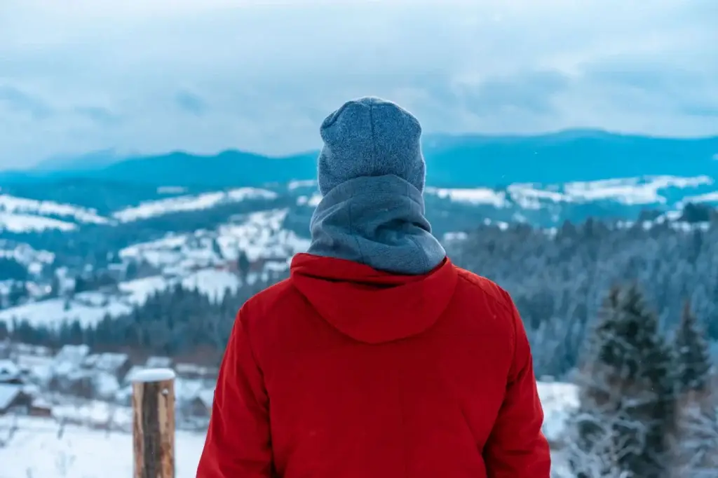 Back view of anonymous female in outerwear relaxing near high mountains with coniferous trees in snow