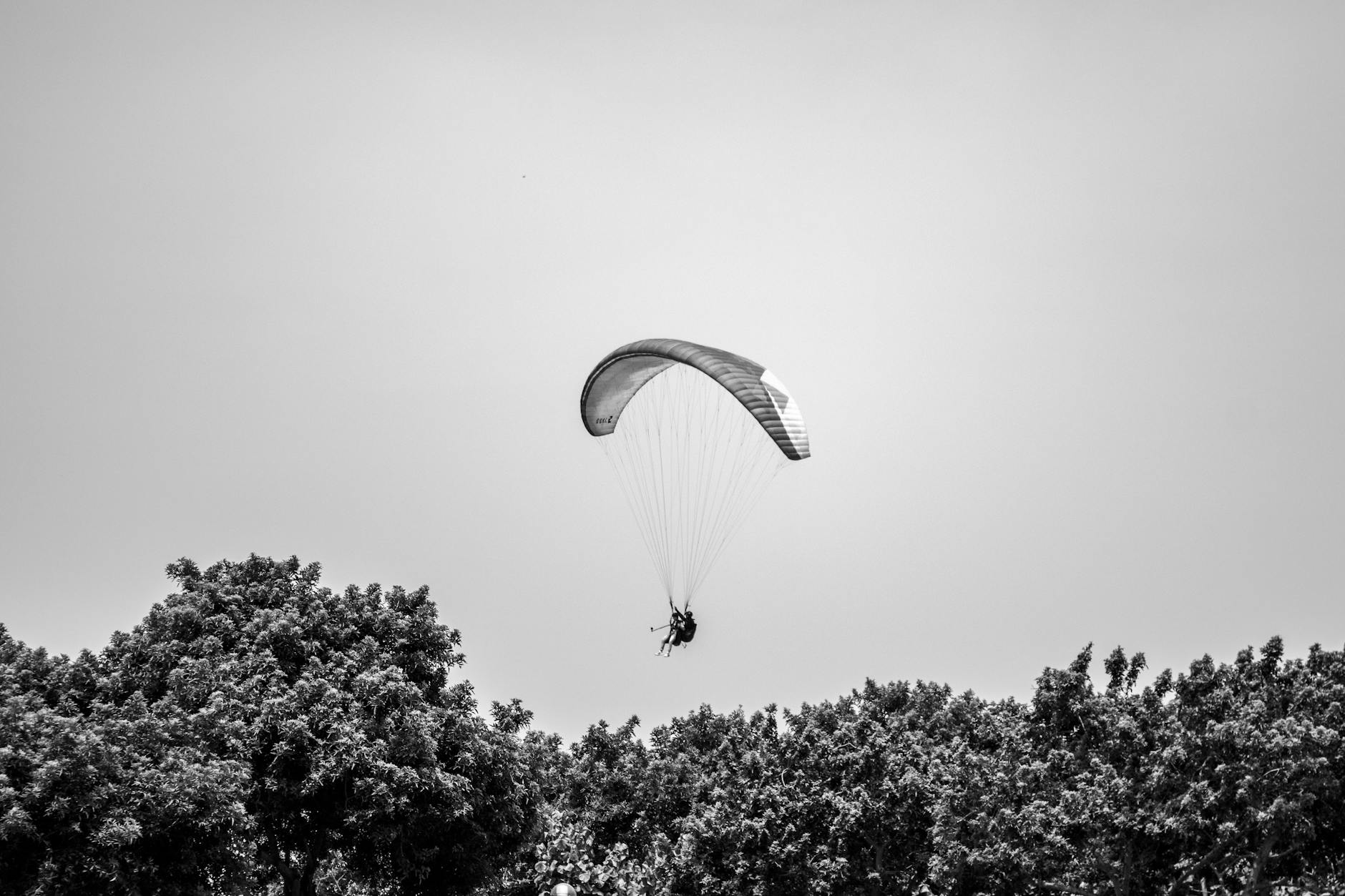 A paraglider gracefully glides above the lush trees in Lima, Peru, under a cloudless sky.