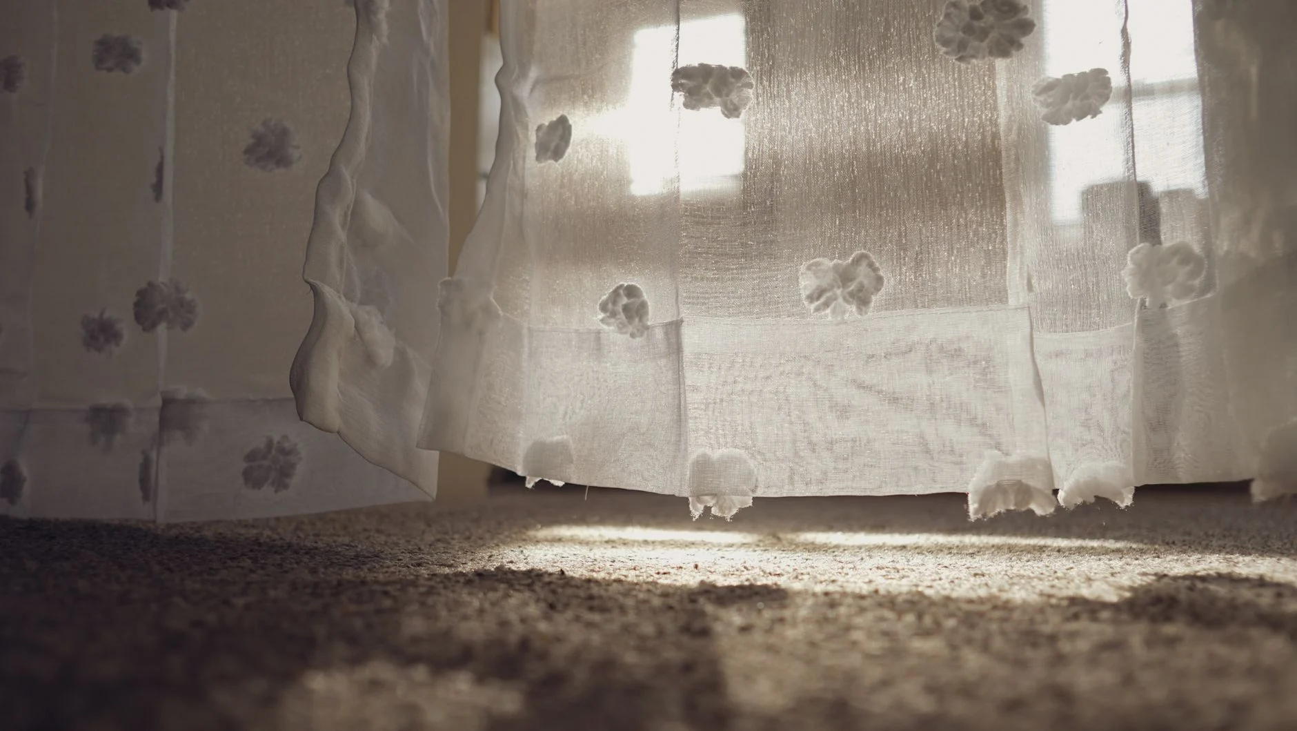 Sunlight gently illuminating through white floral sheer curtains onto a carpeted floor.
