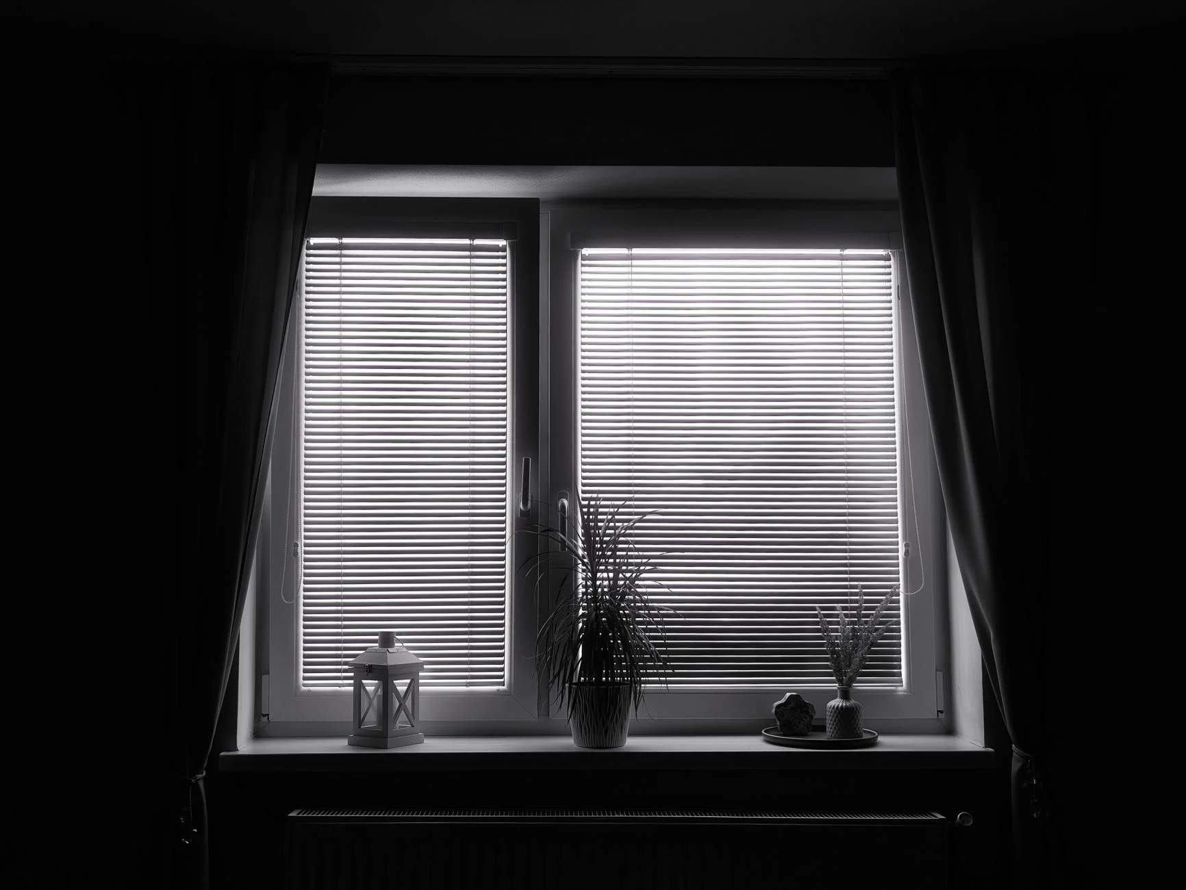 Black and white photo of a window with blinds, a plant, and a lantern.