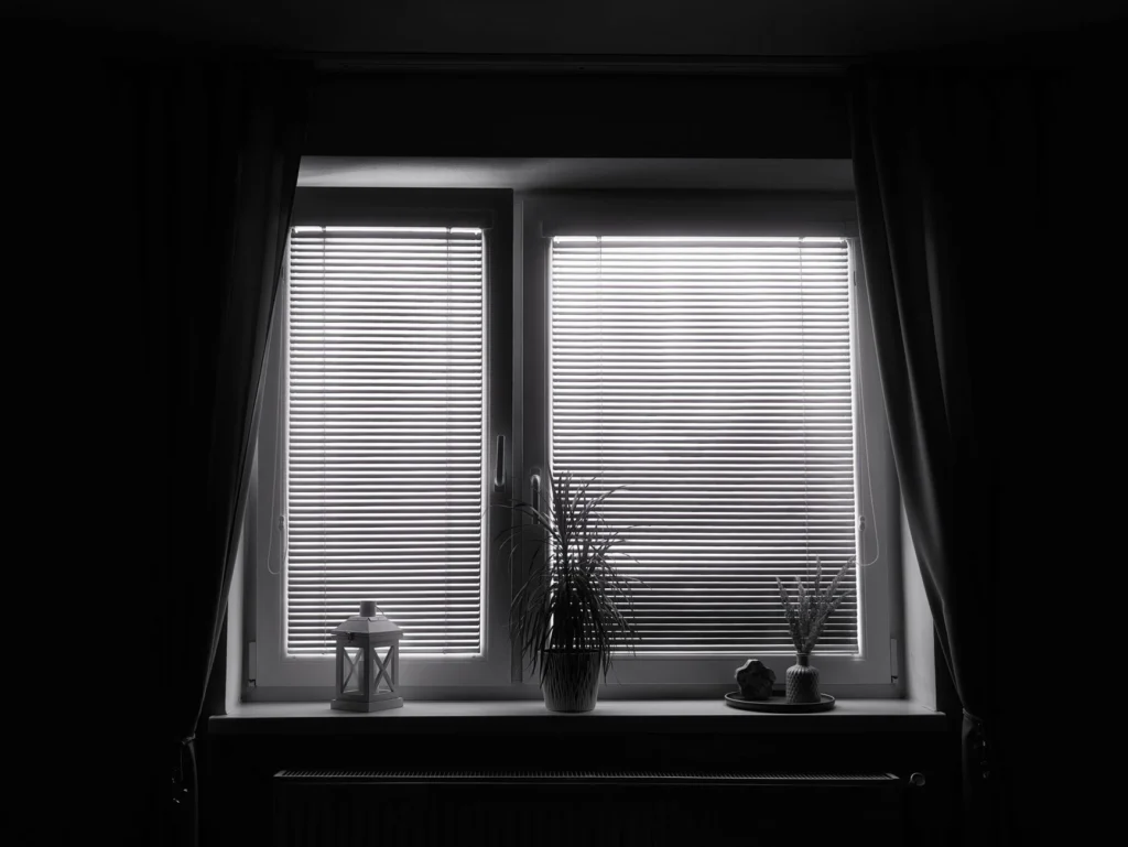 Black and white photo of a window with blinds, a plant, and a lantern.