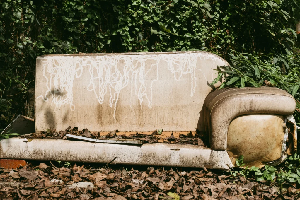 white concrete wall with brown dried leaves