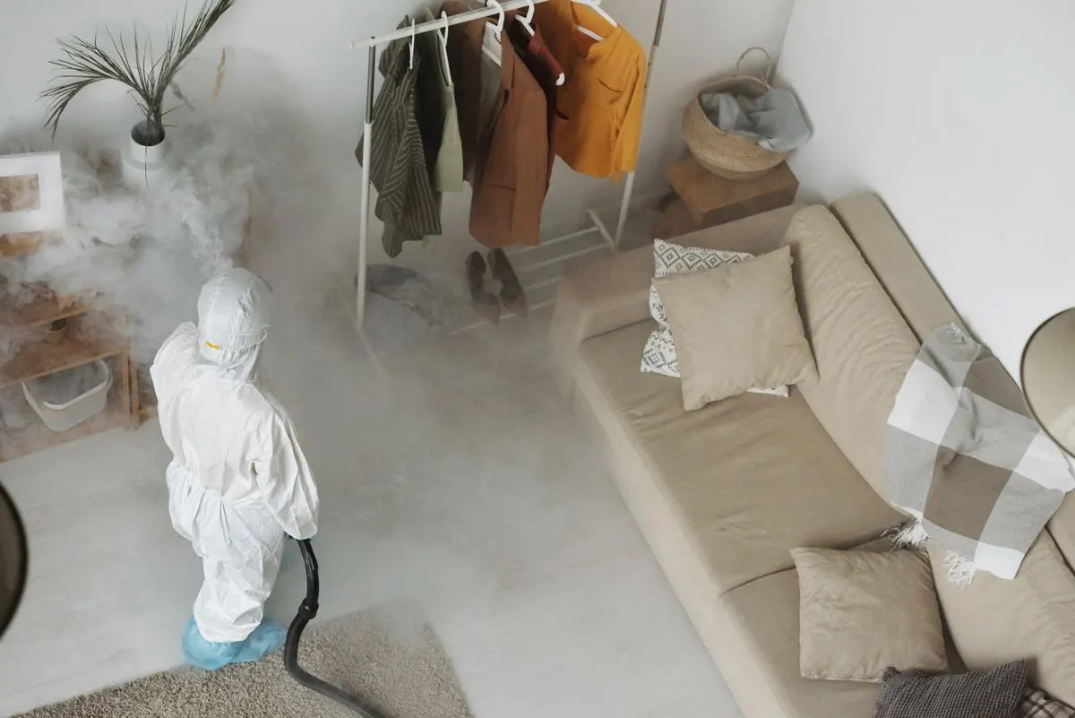 Impermeabilizar sofá em casa ou contratar profissional: o que compensa